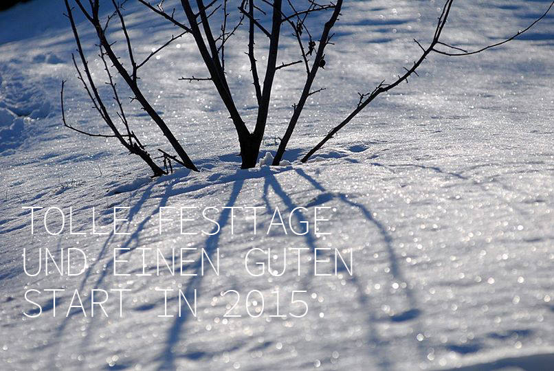 Frohe Festtage und einen guten Start ins neue Jahr Frohe Festtage und einen guten Start ins neue Jahr